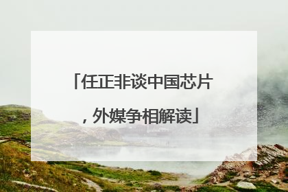 任正非谈中国芯片，外媒争相解读
