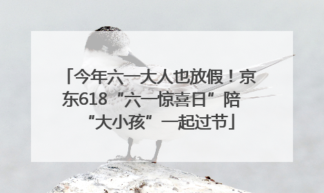 今年六一大人也放假！京东618“六一惊喜日”陪“大小孩”一起过节