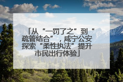 从“一罚了之”到“疏管结合”，咸宁公安探索“柔性执法”提升市民出行体验