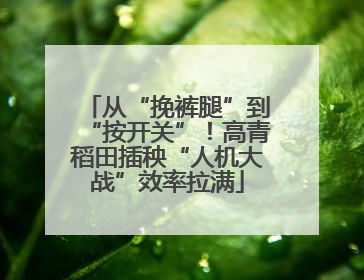 从“挽裤腿”到“按开关”！高青稻田插秧“人机大战”效率拉满