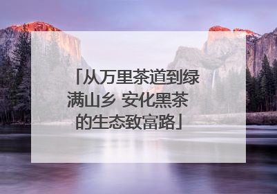从万里茶道到绿满山乡 安化黑茶的生态致富路