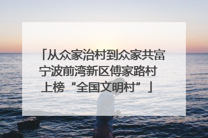 从众家治村到众家共富 宁波前湾新区傅家路村上榜“全国文明村”