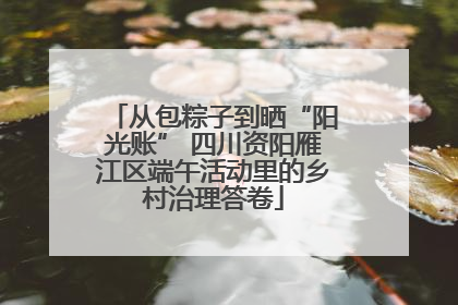 从包粽子到晒“阳光账” 四川资阳雁江区端午活动里的乡村治理答卷