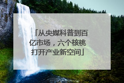 从央媒科普到百亿市场，六个核桃打开产业新空间
