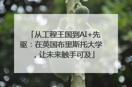 从工程王国到AI+先驱：在英国布里斯托大学，让未来触手可及