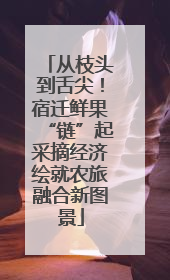 从枝头到舌尖！宿迁鲜果“链”起采摘经济绘就农旅融合新图景