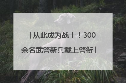 从此成为战士！300余名武警新兵戴上警衔