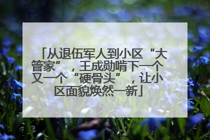 从退伍军人到小区“大管家”，王成勋啃下一个又一个“硬骨头”，让小区面貌焕然一新