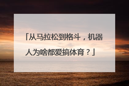 从马拉松到格斗，机器人为啥都爱搞体育？