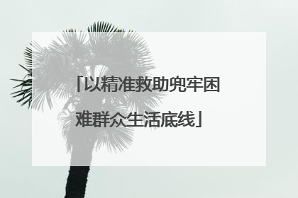 以精准救助兜牢困难群众生活底线