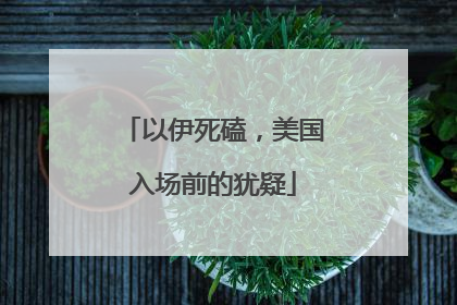 以伊死磕，美国入场前的犹疑