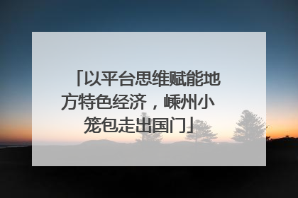 以平台思维赋能地方特色经济，嵊州小笼包走出国门
