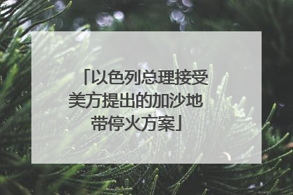 以色列总理接受美方提出的加沙地带停火方案