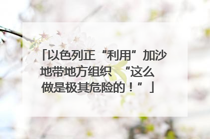 以色列正“利用”加沙地带地方组织  “这么做是极其危险的！”