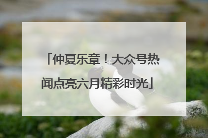 仲夏乐章！大众号热闻点亮六月精彩时光
