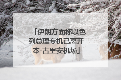 伊朗方面称以色列总理专机已离开本-古里安机场