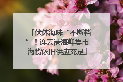 伏休海味“不断档”！连云港海鲜集市海货依旧供应充足