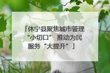 休宁县聚焦城市管理“小切口” 推动为民服务“大提升”