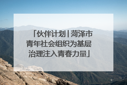 伙伴计划│菏泽市青年社会组织为基层治理注入青春力量
