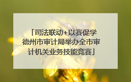 司法联动+以赛促学 德州市审计局举办全市审计机关业务技能竞赛