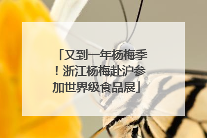又到一年杨梅季！浙江杨梅赴沪参加世界级食品展