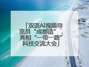 双语AI视频导览员“成都造”，亮相“一带一路”科技交流大会