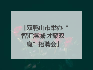 双鸭山市举办“智汇煤城·才聚双赢”招聘会
