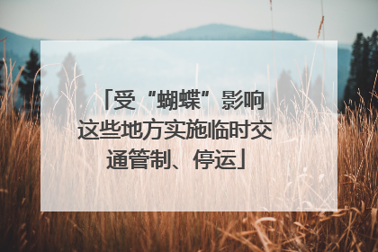受“蝴蝶”影响 这些地方实施临时交通管制、停运