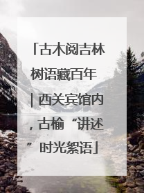 古木阅吉林 树语藏百年｜西关宾馆内，古榆“讲述”时光絮语