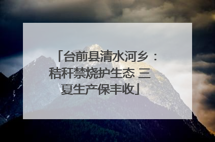 台前县清水河乡：秸秆禁烧护生态 三夏生产保丰收