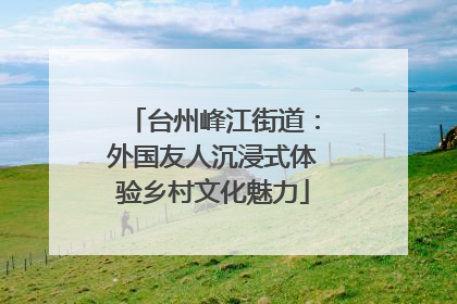 台州峰江街道：外国友人沉浸式体验乡村文化魅力