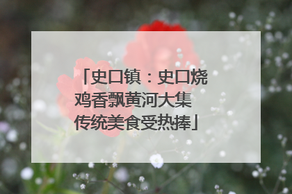 史口镇：史口烧鸡香飘黄河大集 传统美食受热捧