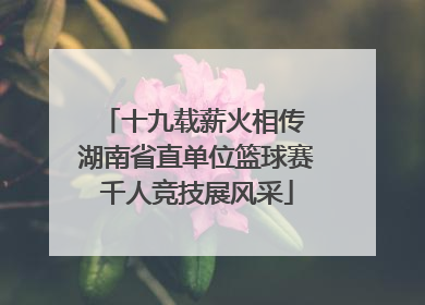 十九载薪火相传 湖南省直单位篮球赛千人竞技展风采