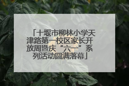 十堰市柳林小学天津路第一校区家长开放周暨庆“六一”系列活动圆满落幕