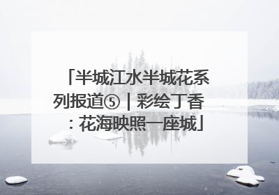 半城江水半城花系列报道⑤｜彩绘丁香：花海映照一座城