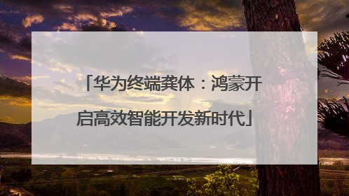 华为终端龚体：鸿蒙开启高效智能开发新时代