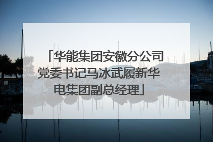 华能集团安徽分公司党委书记马冰武履新华电集团副总经理