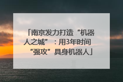 南京发力打造“机器人之城”：用3年时间“强攻”具身机器人