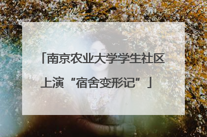 南京农业大学学生社区上演“宿舍变形记”