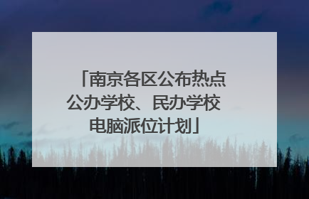 南京各区公布热点公办学校、民办学校电脑派位计划