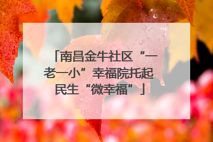 南昌金牛社区“一老一小”幸福院托起民生“微幸福”