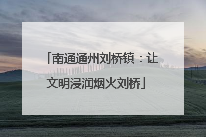 南通通州刘桥镇：让文明浸润烟火刘桥