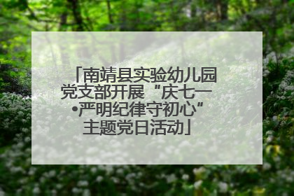 南靖县实验幼儿园党支部开展“庆七一•严明纪律守初心”主题党日活动