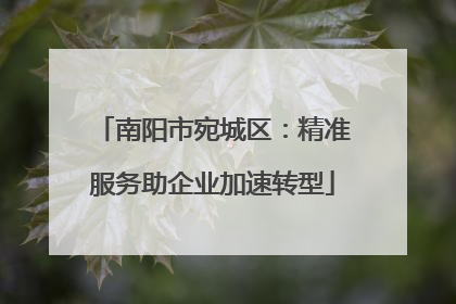 南阳市宛城区：精准服务助企业加速转型