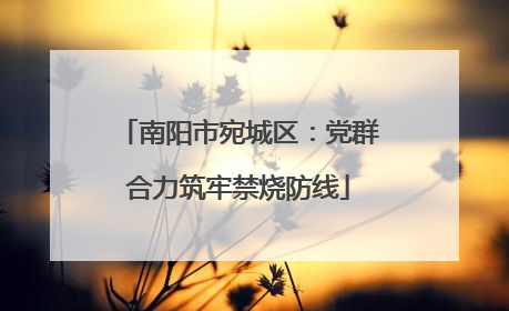 南阳市宛城区：党群合力筑牢禁烧防线