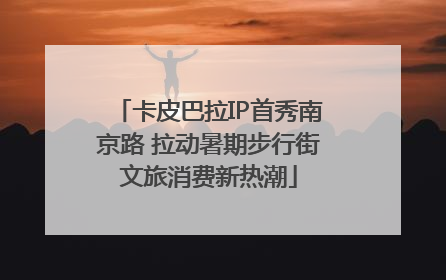 卡皮巴拉IP首秀南京路 拉动暑期步行街文旅消费新热潮