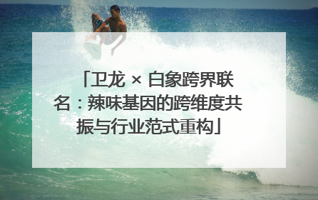 卫龙 × 白象跨界联名：辣味基因的跨维度共振与行业范式重构