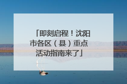即刻启程！沈阳市各区（县）重点活动指南来了