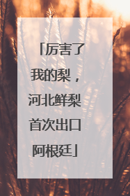 厉害了我的梨，河北鲜梨首次出口阿根廷