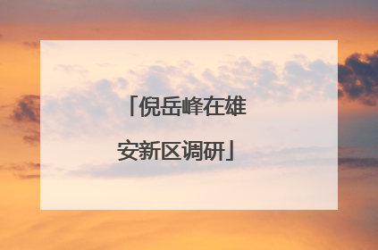 倪岳峰在雄安新区调研